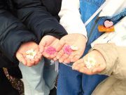 いいね！二見っ子！！～３年生毘沙門浜で砂鉄見つけ～